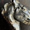 Beeld paardenhoofd Beeld paardenhoofd