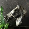 Beeld paardenhoofd Beeld paardenhoofd