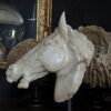 Beeld paardenhoofd
