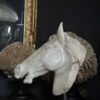 Beeld paardenhoofd