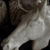 Beeld paardenhoofd