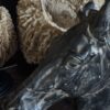Beeld paardenhoofd Beeld paardenhoofd