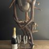 Champagnekoeler van gewei