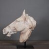 Beeld paardenhoofd