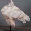 Beeld paardenhoofd