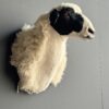Opgezette kop van een schaap