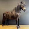Ausgestopfter Pony