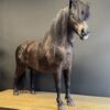 Ausgestopfter Pony