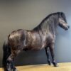 Ausgestopfter Pony