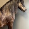 Ausgestopfter Pony