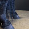 Ausgestopfter Pony