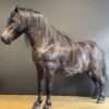 Ausgestopfter Pony