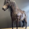 Ausgestopfter Pony