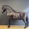 Ausgestopfter Pony