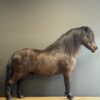 Ausgestopfter Pony