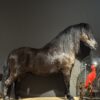 Ausgestopfter Pony