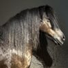 Ausgestopfter Pony