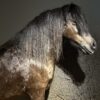 Ausgestopfter Pony