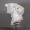 Fragment of Apollo Fragment of Apollo