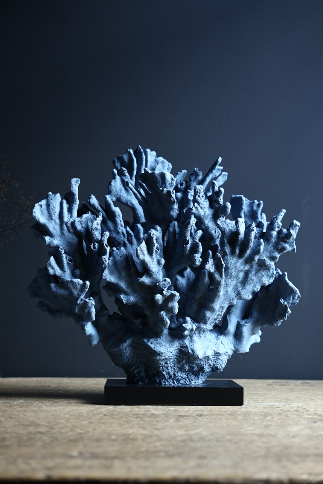 Blauw koraal