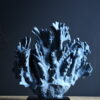 Blauw koraal Blauw koraal