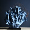 Blauw koraal Blauw koraal