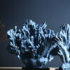 Blauw koraal Blauw koraal