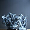 Blauw koraal Blauw koraal