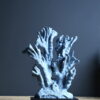 Blauw koraal