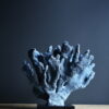 Blauw koraal XXL