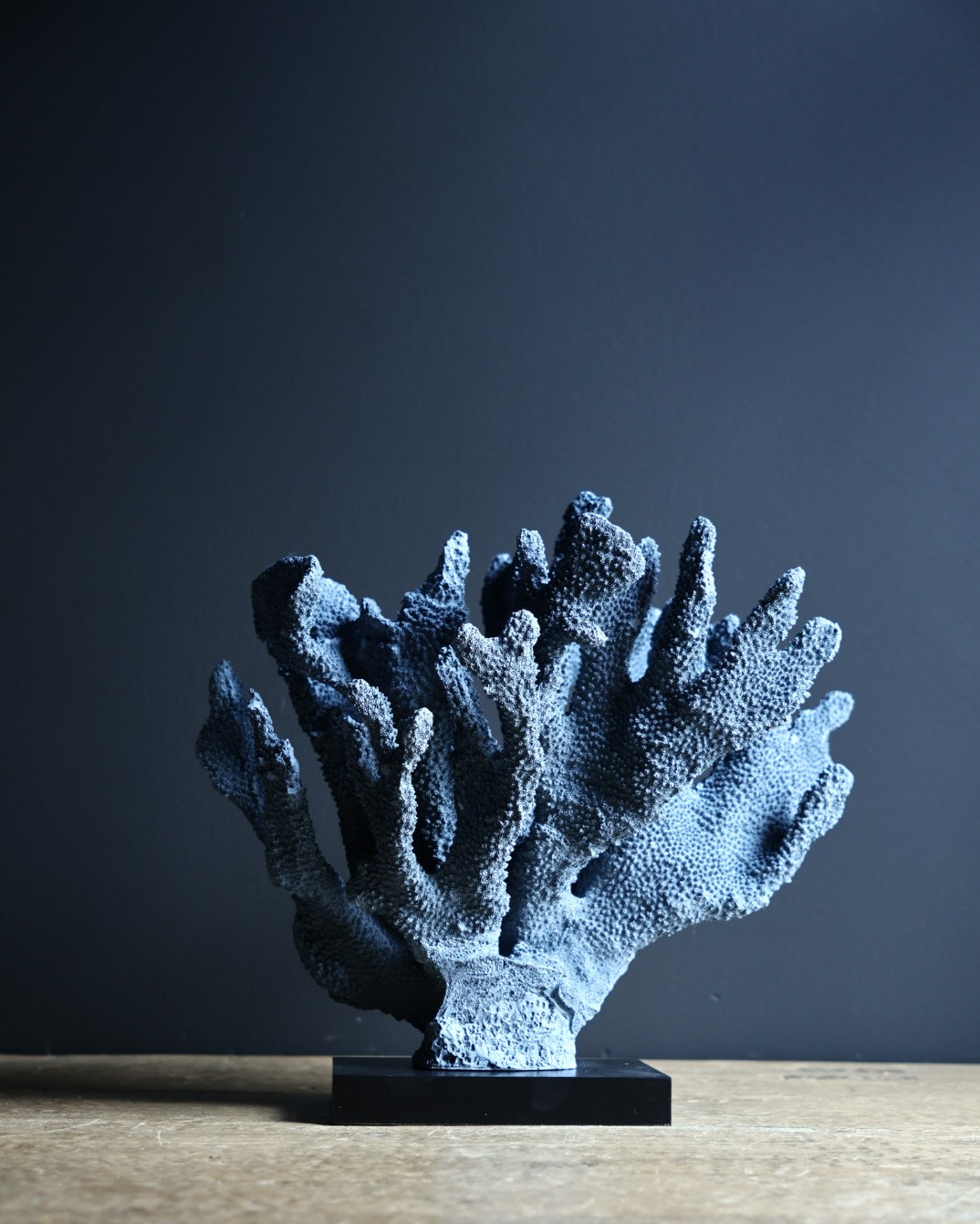 Blauw koraal XXL