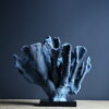 Blauw koraal XXL Blauw koraal XXL