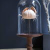 Stolp op voet met krab
