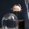 Stolp op voet met krab