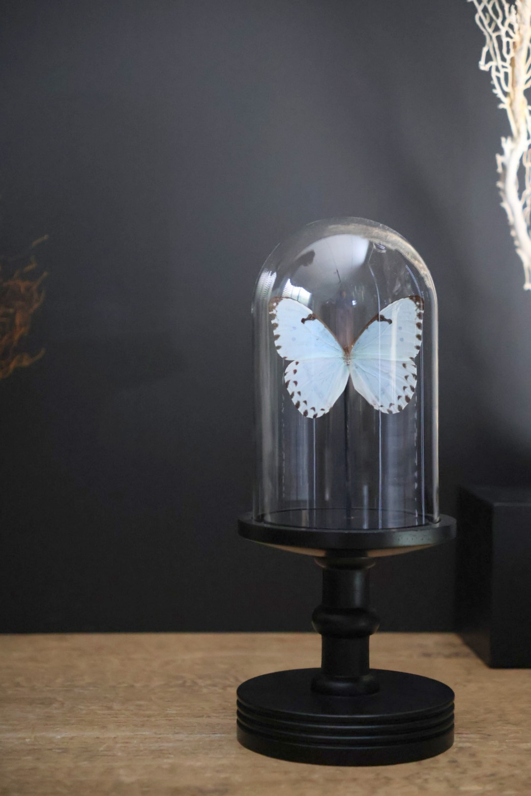 Stolp op voet met Morpho vlinder