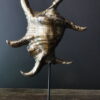 Oud bronze schelp op marmeren sokkel Oud bronze schelp op marmeren sokkel