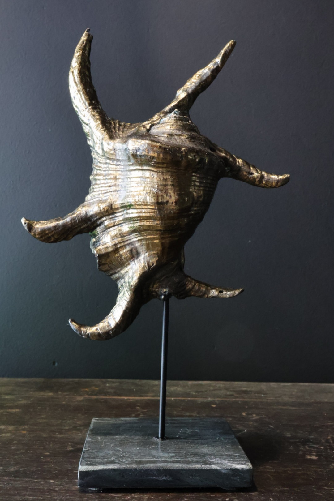 Oud bronze schelp op marmeren sokkel