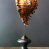 Oranje gouden schelp op sokkel