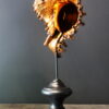 Oranje gouden schelp op sokkel