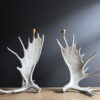 Geweilampen Canadese eland