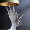 Geweilampen Canadese eland