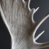 Geweilampen Canadese eland