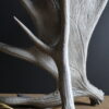 Geweilampen Canadese eland