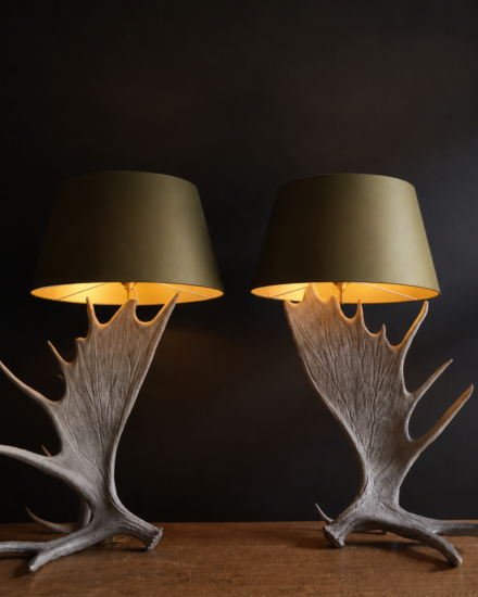 eland gewei lampen eland gewei lampen