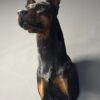 Opgezette hond Opgezette hond