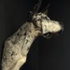 Opgezette hond Opgezette hond