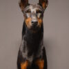 Opgezette hond Opgezette hond