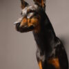 Opgezette hond Opgezette hond