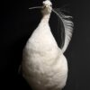 Kunstwerk Witte Pauw