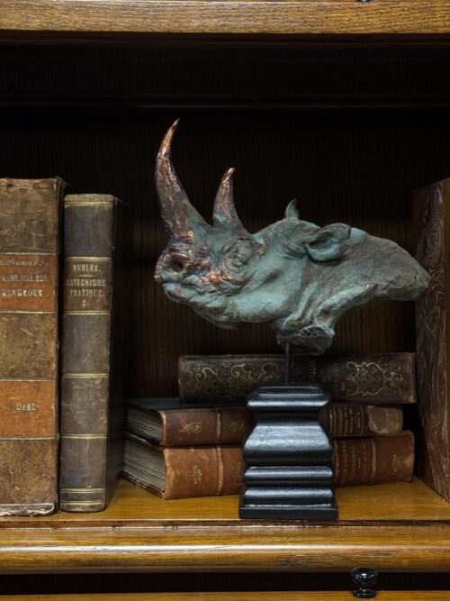 Beeldje neushoorn